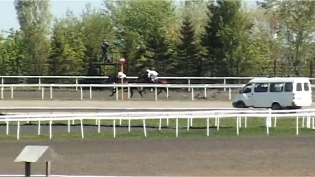 11 Мая 2019 5 Скачка на Кубок Администрации МР Зианчуринский район РБ смотреть онлайн