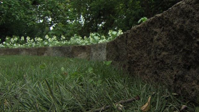 Step-By-Step: Design And Grow An All-White Victorian Garden смотреть онлайн