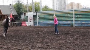 Конный двор - Казачий хутор» | г. Москва | Кусково | Видео - Парижер Ольга