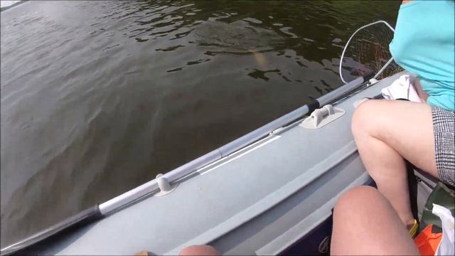 СОМ 5 кг река ОКА троллинг HONDA BF 20 big catfish смотреть онлайн