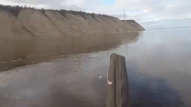 Гольфстрим 9.9 смотреть онлайн