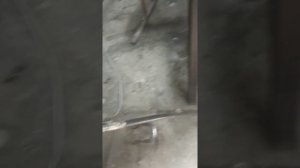 Проверка датчика давления масла на пассат б5