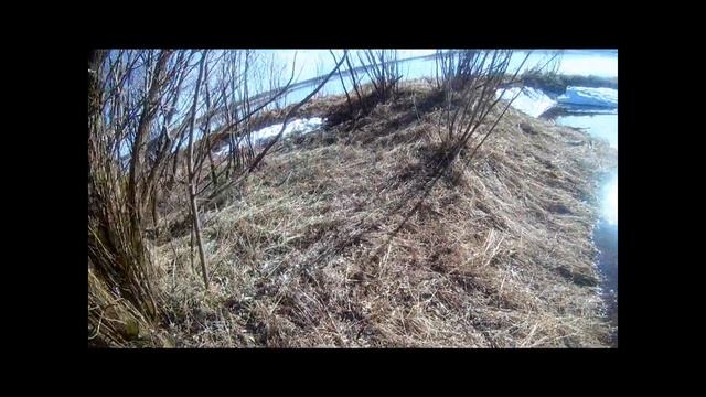 Первый ролик снятый на экшн камеру EKEN H9r 1080P 60fps