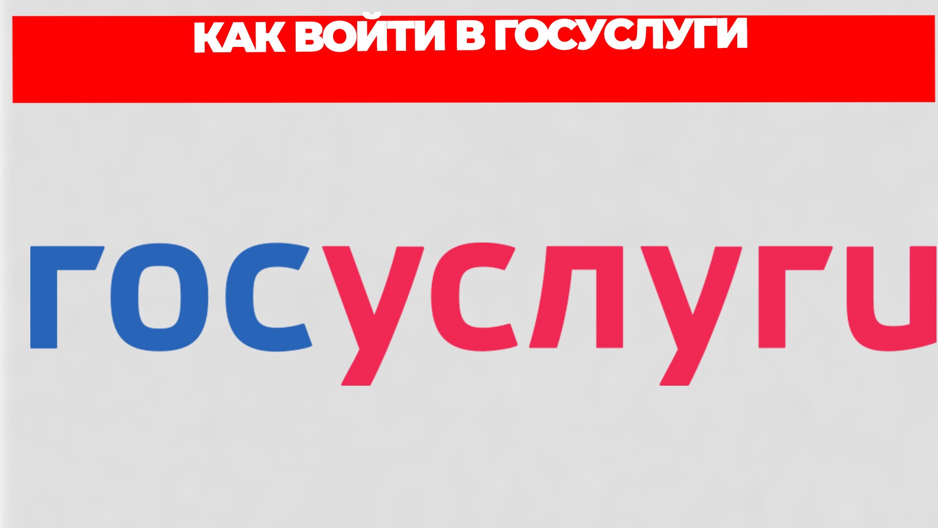 Всезнающий Енот