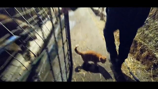 ПОЧЕМУ МЫ РАСПРОДАЕМ ВСЕ ХОЗЯЙСТВО? смотреть онлайн