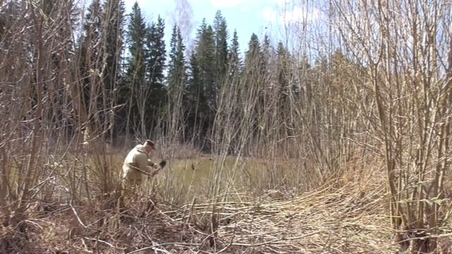 Испытание саперной лопатки в качестве мачете. смотреть онлайн