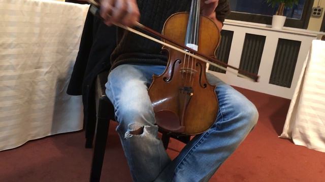 Maestronet Madness 1 - Meastro Ed Heidegger Plays A Viola