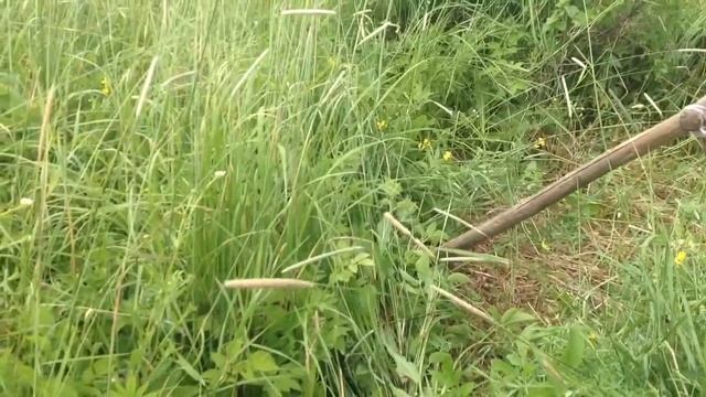 Коса литовка.