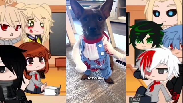 MHA/BNHA Character React to Deku's Pets +more/Shout out/Funny Trending Tiktok/BNHA/Gacha Club#61 смотреть онлайн