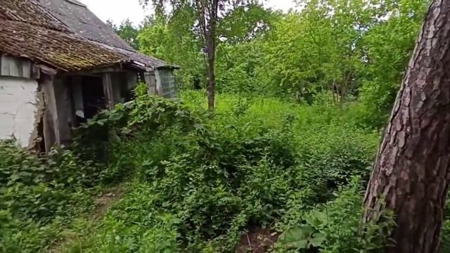 Земельный участок в Краснодарском крае. смотреть онлайн