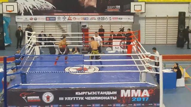 Токтоматов эрнис  (чубак)