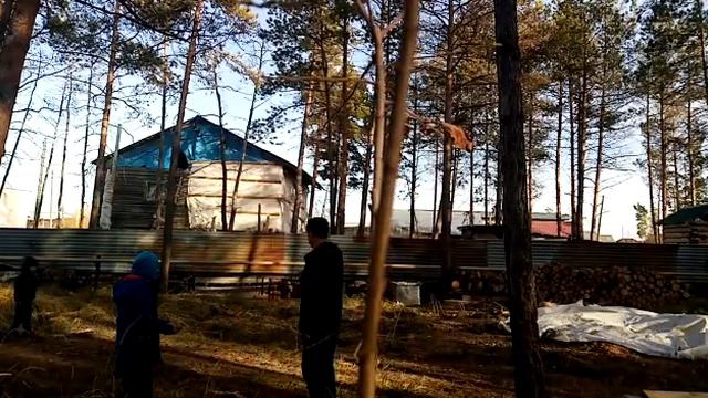 Семья играет в футбол смотреть онлайн