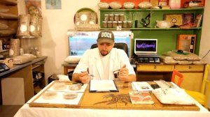 Шиитаке, ЛЕЧЕБНЫЕ ГРИБЫ, выращивание шиитаке на древесине