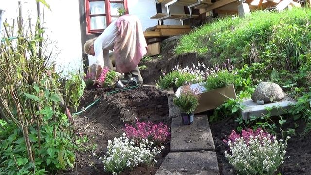 Planting heather infront of my veranda смотреть онлайн