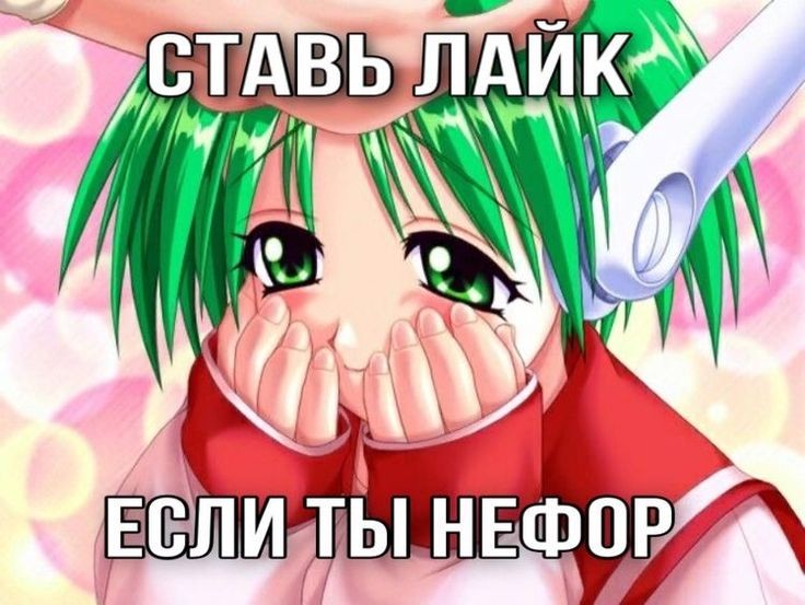 топчик