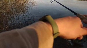 Тестирую воблер с Ozon за 300₽ #рыбалка #рыбалка2023 #щуканавоблер