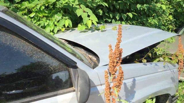 Авто разборка в США ч.2. JUNK YARD #2 смотреть онлайн