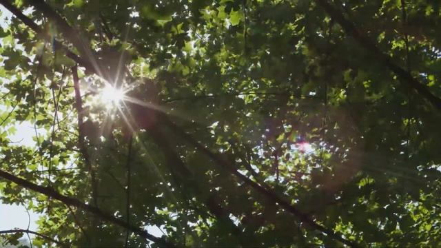 Relaxing magical sounds of ancient gusli смотреть онлайн