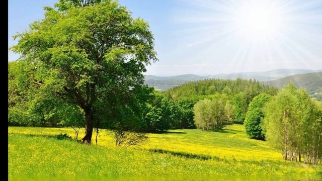 Муж догадался об измене жены и проследил за ней. Увиденное изменило его жизнь! смотреть онлайн