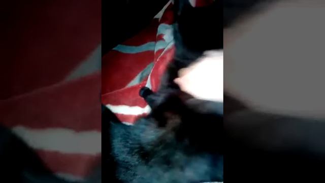 Секреты Рукоделия