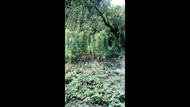 продам удивительный дом 7 комнат возле реки за 5650$ смотреть онлайн