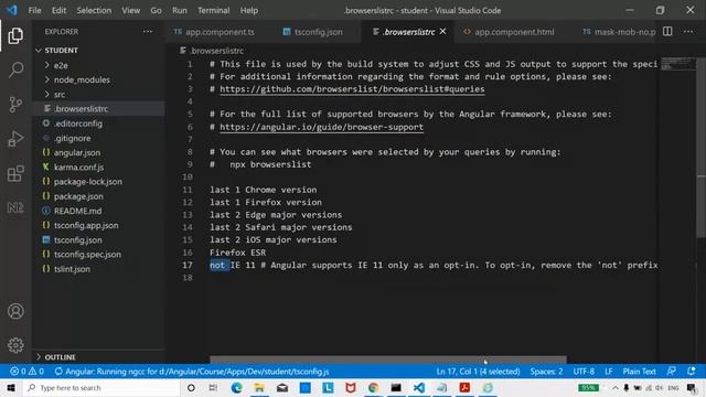 Angular Not Working on Internet Explorer смотреть онлайн