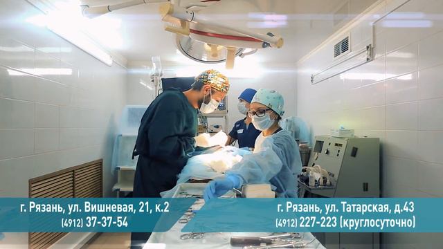 9 Жизней смотреть онлайн