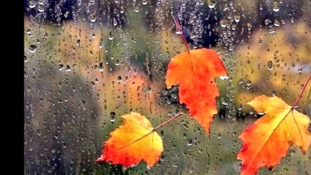 Вот и осень... смотреть онлайн