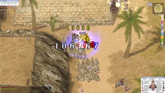 iRO Chaos - Royal Guard (Earth Drive) Blood Branch [Solo] смотреть онлайн