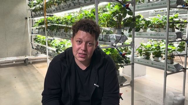 Сколько стоит сити-ферма? смотреть онлайн