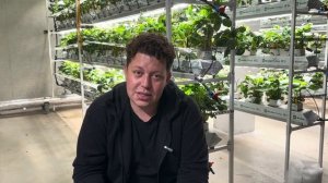 Сколько стоит сити-ферма?