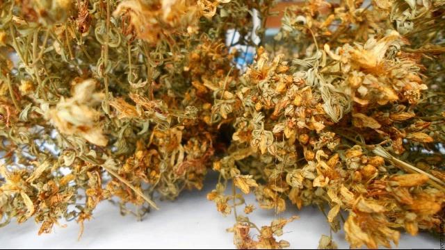 ЗВЕРОБОЙ. Лечебные травы. Народная медицина. Домашняя аптечка смотреть онлайн