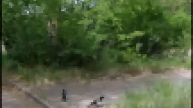 лето июнь2012 смотреть онлайн