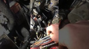 31 января 2024 г. ФИАТ Дукато не заводится