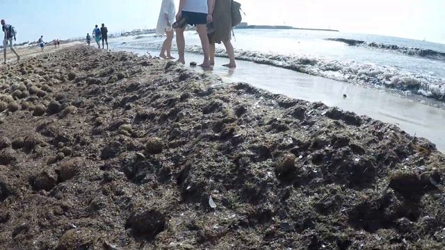 Тунис . Хаммамет. Пляж 23 июня 2019 года. смотреть онлайн