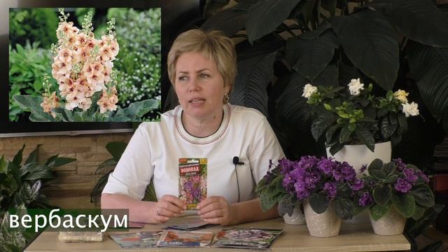 КАКИЕ ЦВЕТЫ ПОСЕЯТЬ В АПРЕЛЕ! ВЫ БУДЕТЕ В ВОСТОРГЕ ОТ ИХ КРАСОТЫ! смотреть онлайн