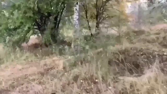 КУБАНСКИЕ ОБЖОРЫ ОПЯТЬ ВСЕ СОЖРАЛИ! ОЛЮНЯ И КОТЮНЯ. смотреть онлайн