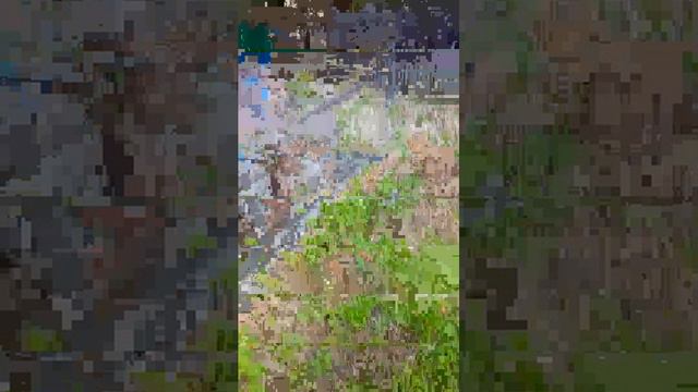 но смотреть онлайн