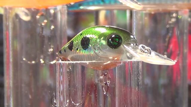 Выставка «Охота и Рыболовство на Руси» осень 2015 смотреть онлайн