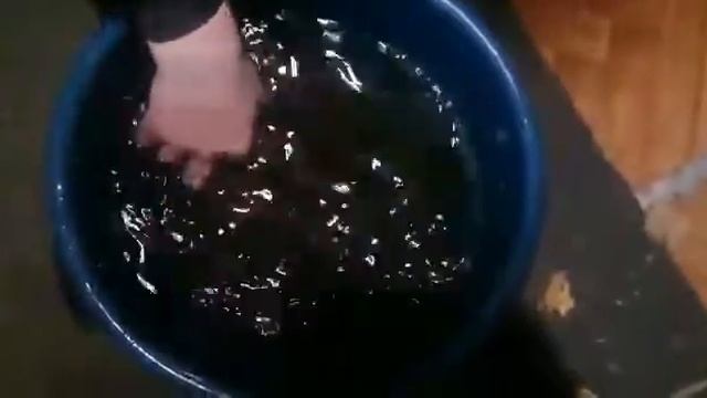 Вот..!!! сколько лет рыбе?!!! Старенькая... смотреть онлайн