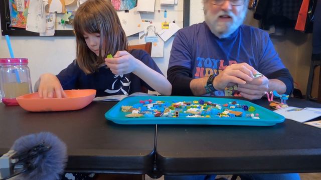 31128 Sea Life build смотреть онлайн