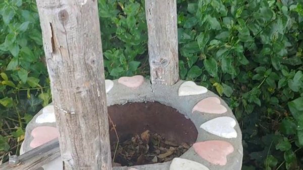 Ирисы В Саду Ирисов США, Loomis, CA