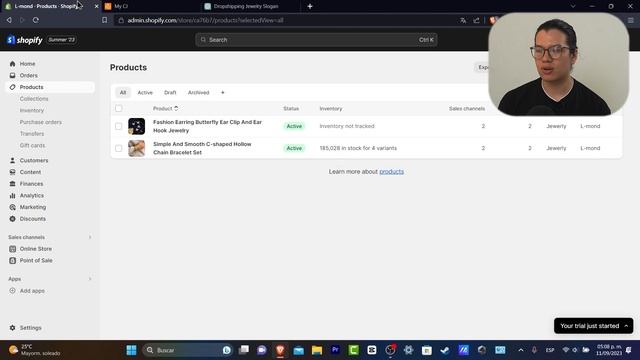FREE Shopify Dropshipping Course: How to Create an Online Store and Earn Money in 2023 смотреть онлайн