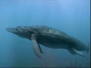 Сенсация!!! смотреть онлайн