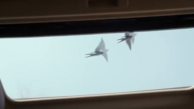 Линейка автомобилей DFM смотреть онлайн