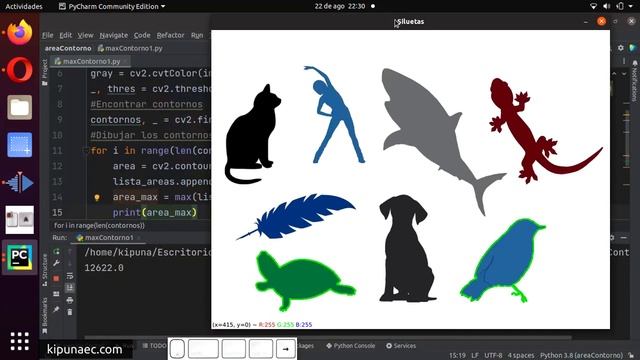 Encontrar el contorno más grande con contourArea() | Python - openCV смотреть онлайн