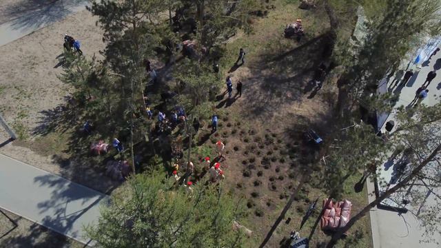 Запуск проекта "Озеленение сквера за оперным театром в городе Новосибирск" смотреть онлайн