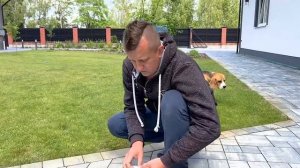 ШЕРЛОК -КОМАНДИР . ЛУЧШЕЕ ОТ ЩЕНКА. БРОС ШОУ ПЕТ