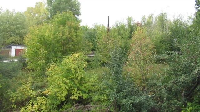 Осенняя ночь смотреть онлайн