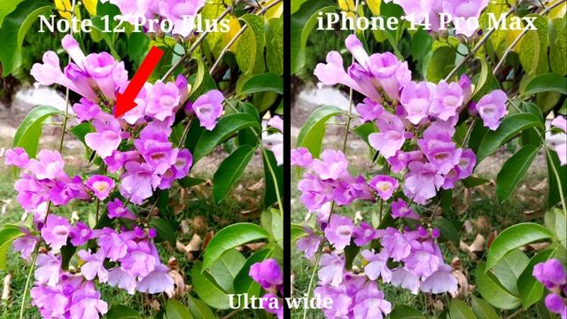 Redmi Note 12 Pro Plus camera test vs iPhone 14 Pro Max Camera смотреть онлайн